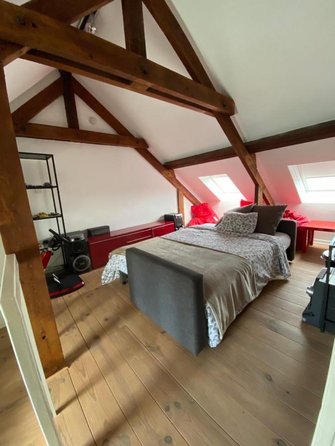 Hasselt City Garden Duplex المظهر الخارجي الصورة